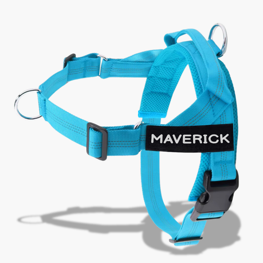 Personalised No Pull Dog Harness