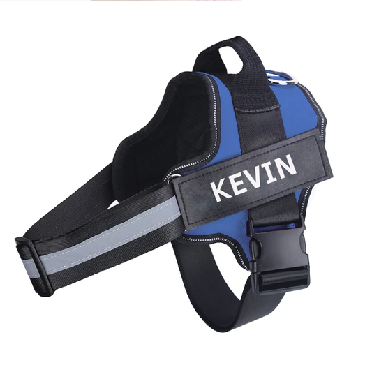 Personalised No Pull Dog Harness