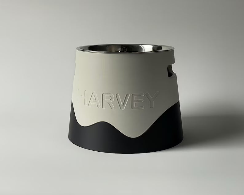 Personalised Raised Dog Bowl