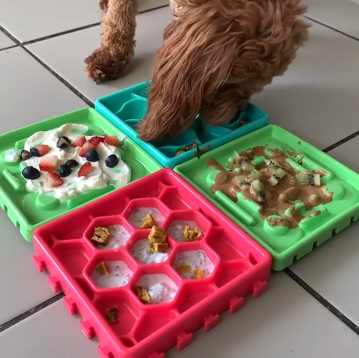 Licky Mats + Slow Feedz Kit