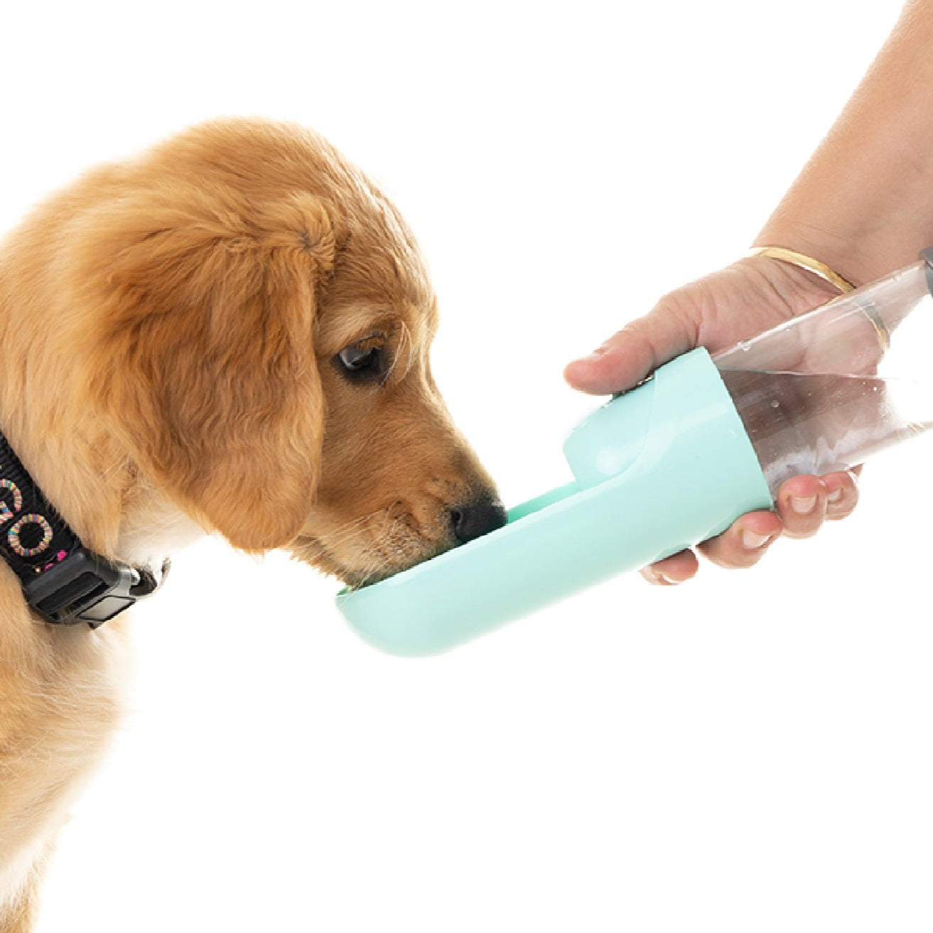 Doggie Bottle™ On the go water + snack feeder - Furry Mates Co