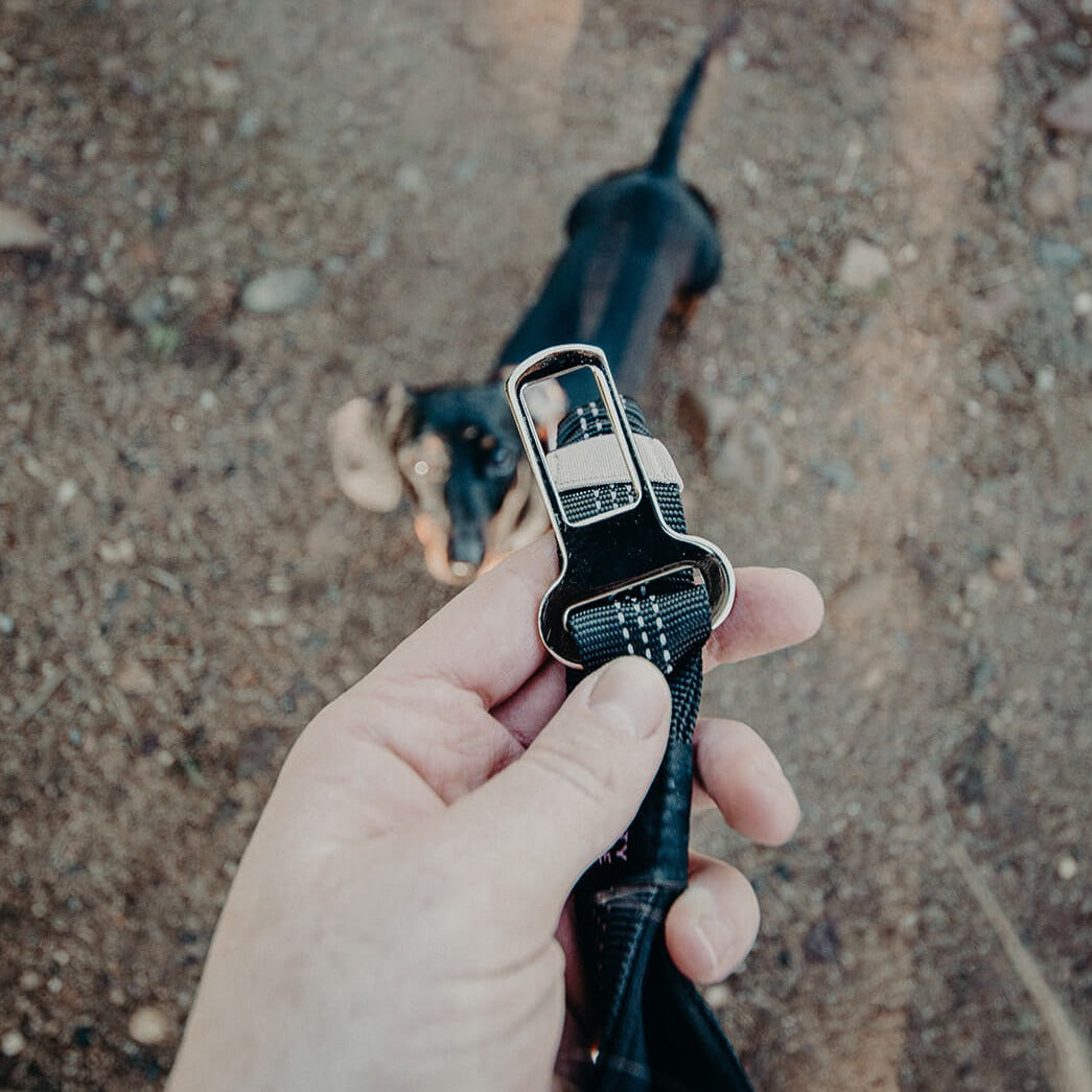 Adjustable No Pull Leash + Seat Belt Buckle - Furry Mates Co