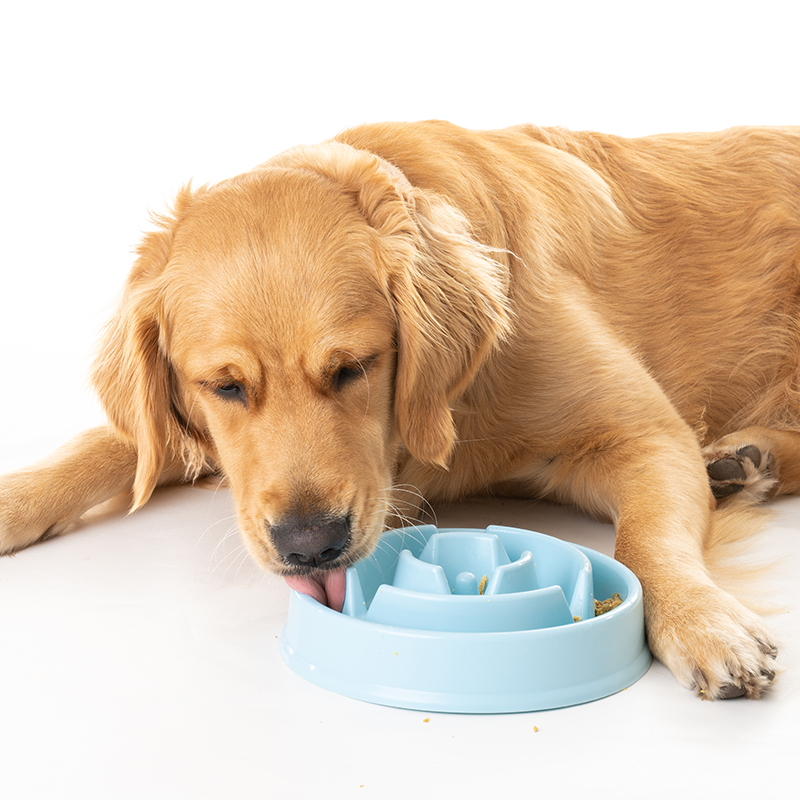 Slow Feeding Bowl - Furry Mates Co