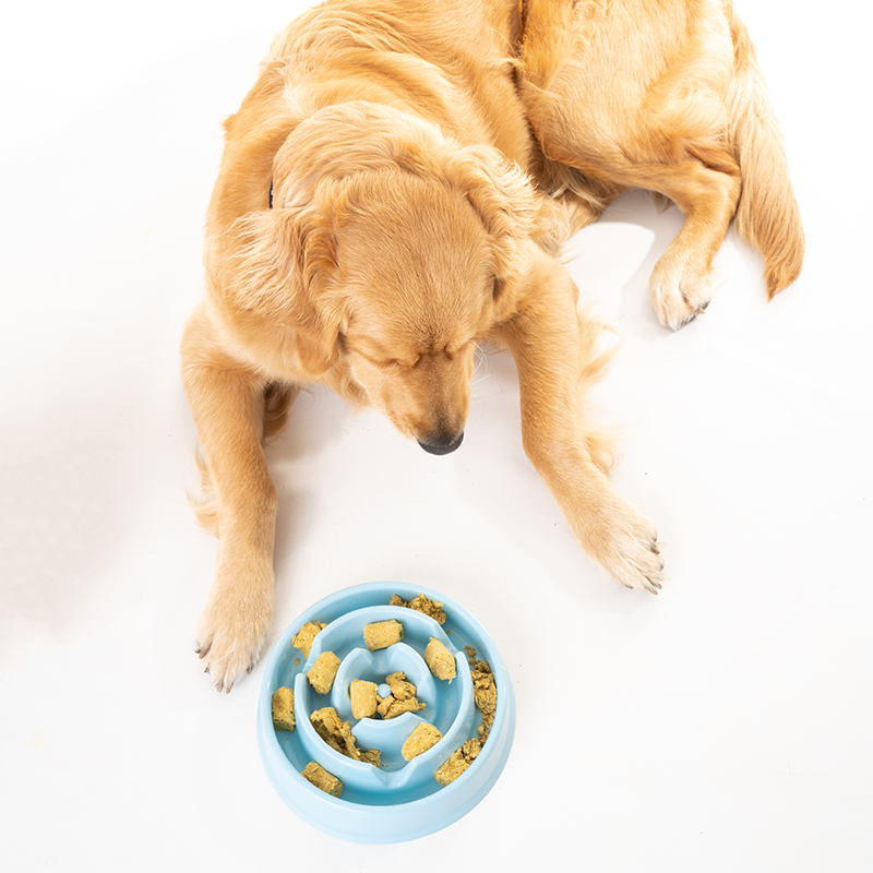 Slow Feeding Bowl - Furry Mates Co