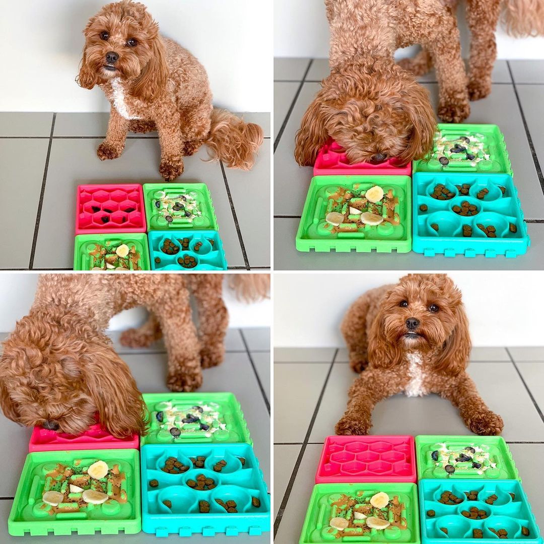 Licky Mats + Slow Feedz Kit