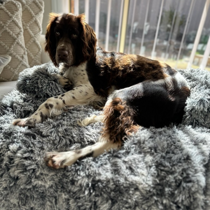 The Calming Couch Cover