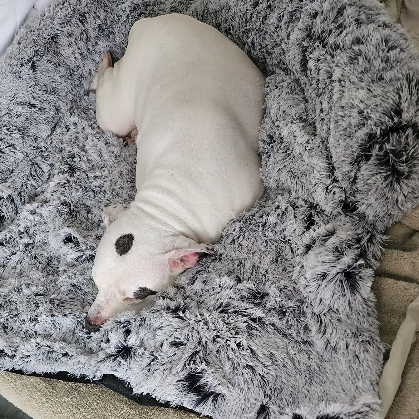 The Calming Couch Cover