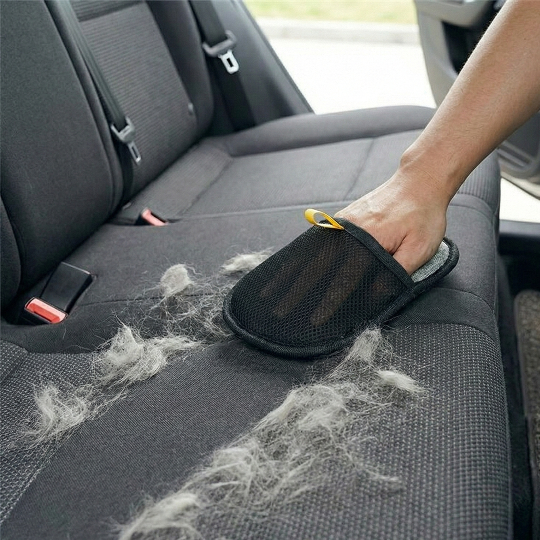 Fur Remover Mitt