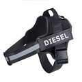 Personalised Padded No Pull Dog Harness