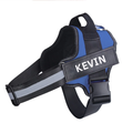 Personalised Padded No Pull Dog Harness
