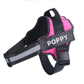 Personalised No Pull Dog Harness