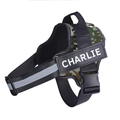 Personalised Padded No Pull Dog Harness