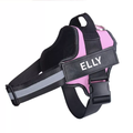 Personalised Padded No Pull Dog Harness