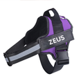 Personalised Padded No Pull Dog Harness