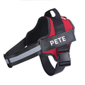 Personalised Padded No Pull Dog Harness