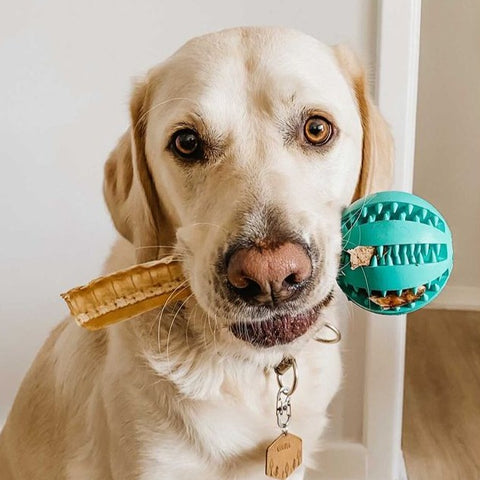 The Boredom Busters Pack - Furry Mates Co