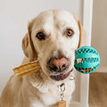 Toothy™ - Furry Mates Co