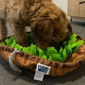 BLACK FRIDAY BUNDLE - Toothy + Sniffler Mat - Furry Mates Co
