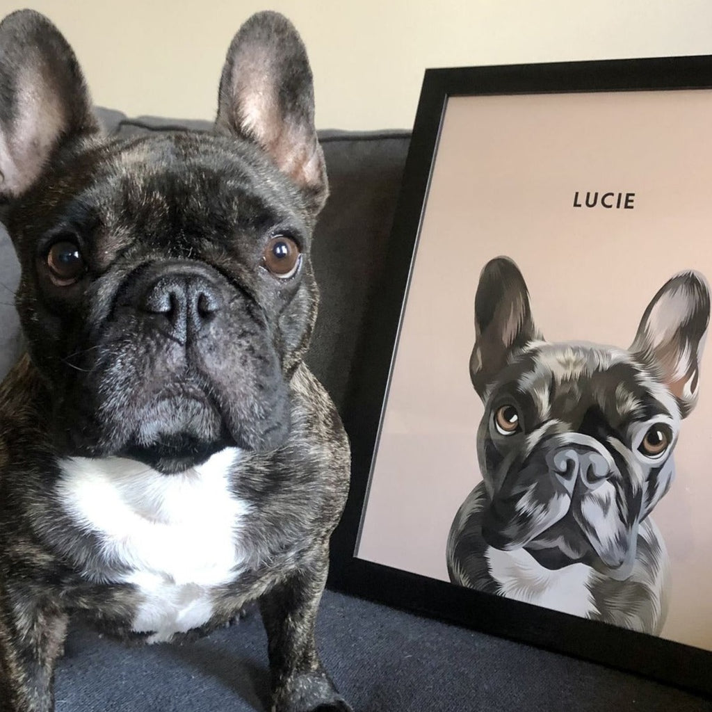 Custom Illustrated Pet Portrait - Furry Mates Co