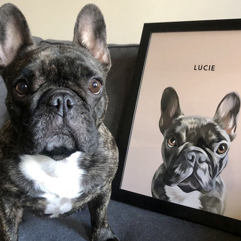 Custom Illustrated Pet Portrait - Furry Mates Co