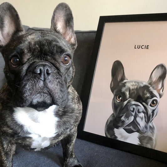 Custom Illustrated Pet Portrait - Furry Mates Co