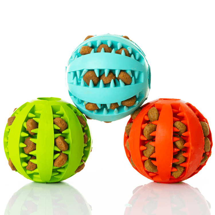 Toothy on sale dog toy