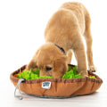 BLACK FRIDAY BUNDLE - Toothy + Sniffler Mat - Furry Mates Co