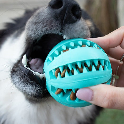 Toothy - Furry Mates Co