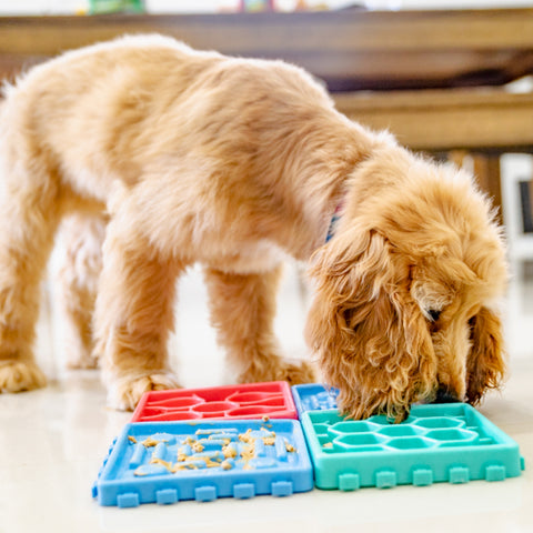 The Boredom Busters Pack - Furry Mates Co
