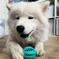 Toothy - Furry Mates Co
