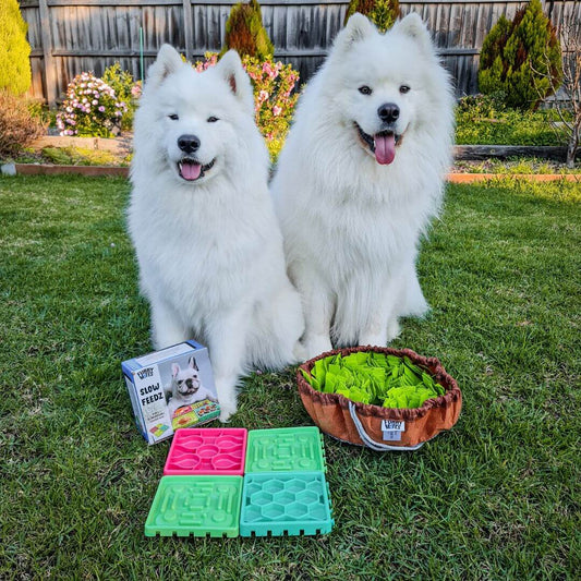 The Boredom Busters Pack - Furry Mates Co