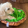 The Enrichment Kit - Furry Mates Co