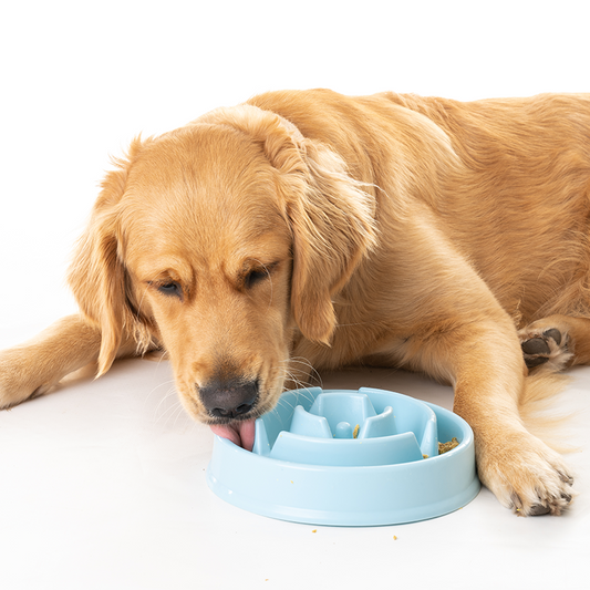 Slow Feeding Bowl - Furry Mates Co